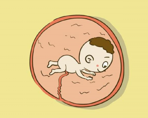 香港验血要怀孕多大,[人工授精和试管婴儿哪个更好]睾丸炎早期有哪些症状出现