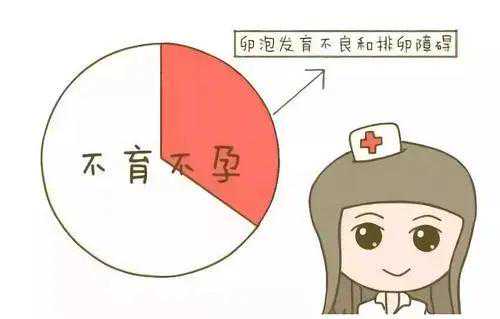 香港验血检测男女价格,备孕同房次数多了会影响怀孕吗，备孕期一周同房几次