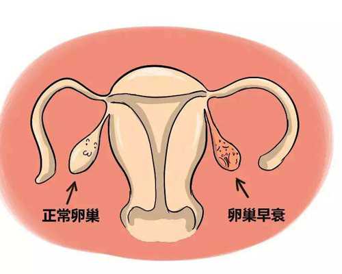 香港验血几周怎么看_去香港验血需要准备什么条件_没y生了男孩真的靠谱吗!