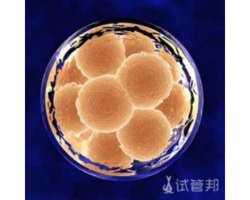 香港验血 房天下_香港男女验血报告单准不准_选择哪家化验所好!