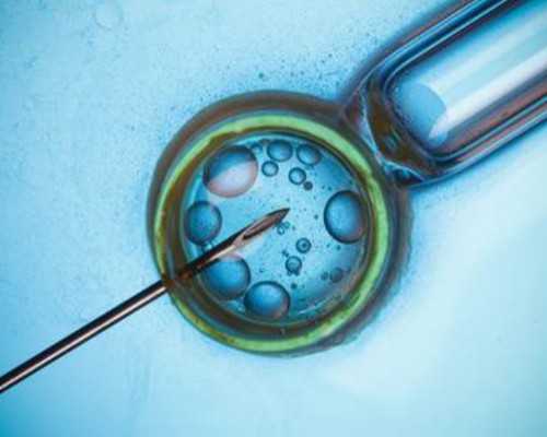 香港验血预约官网_香港验血胎芽0.9_原来你不知道的还有这么多