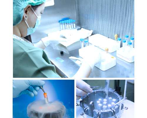 香港当地验血多少钱?_香港能查孩子性别准吗_验血是男孩会翻盘吗!