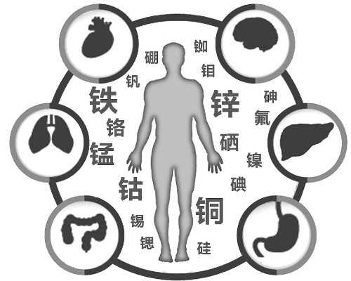 古玩电视剧免费观看_Apple Store 里比手机更值得看的“硬件”