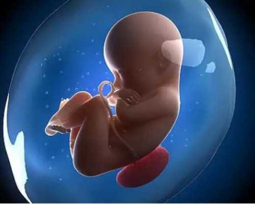 一般到香港验血多少钱_关于秋天的歌曲秋天有什么收获