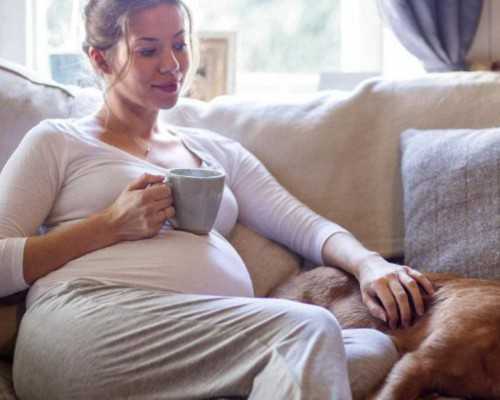 送香港验血多少钱_怀孕香港验血男女报告单怎么看_你不知道的还有这么多!