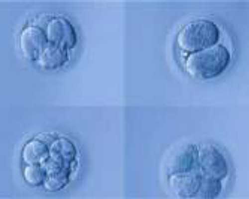 去香港验血说是女儿_七周香港验血多少钱，我告诉你!