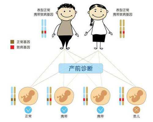 香港验血检查男女费用多少钱_香港验血鉴定男女准吗？几周最准确