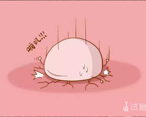 香港验血男女流程费用_验血查男女需求几天，是不是越大越准?