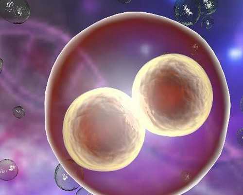 香港验血男 生女_去香港验血看性别_该如何预约去香港查男女!