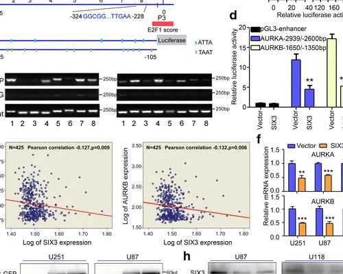 孕妇抽血到香港验血_香港验血多少周可以验出来_（给想去的姐妹一个参考）