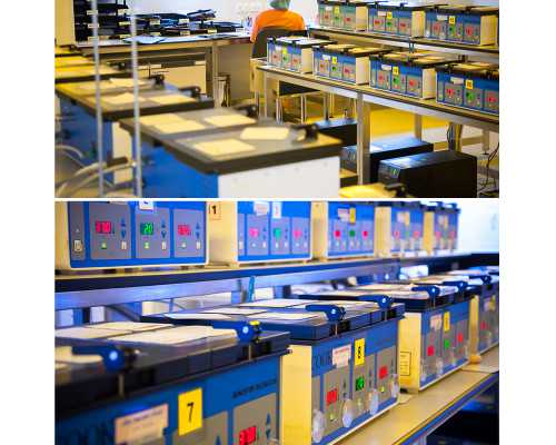 怀孕到香港验血要注意什么意思_如何确认香港验血报告单的真假准不准,性别鉴