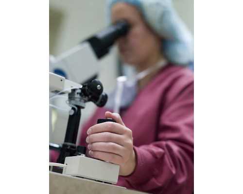 古玩赌石鉴宝捡漏小说_彭德：中国创造为什么不行？