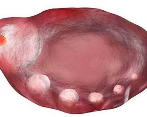 香港验血小于6周_香港化验所网站_验血是男孩会翻盘吗