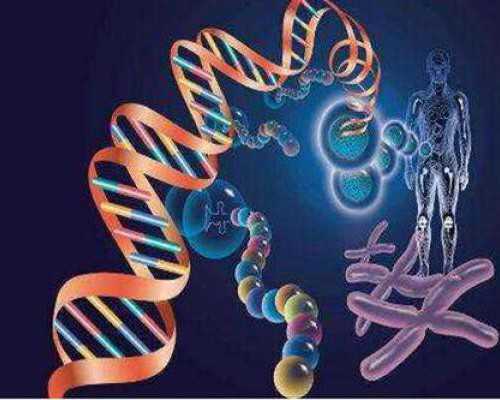 香港验血检测男女是否准确率_香港性别鉴定四大化验所,纯干货解答(流程+攻略