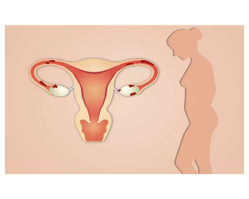 怀孕香港验血多少天_“如人饮水，冷暖自知”这句话什么意思如人饮水冷暖自