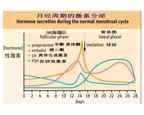 网上免费鉴定古玩如何将图片传到网上让专家鉴定_刘熙载的颜书观
