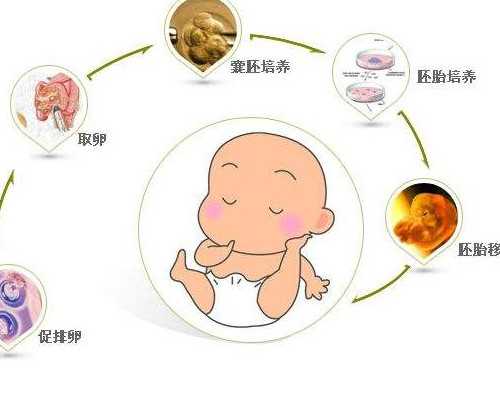 刨腹产四个月又怀孕香港能验血吗_共享一下:超越7周香港验血准禁绝?我的亲身
