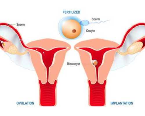 北京古玩鉴定专家有谁?_土豆杏鲍菇五花肉辣酱，下饭，低油版