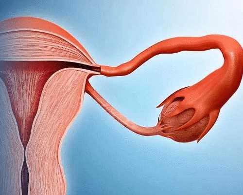 香港验血邮寄靠谱求介绍_香港验血到底是不是真的?