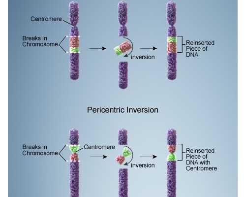 香港孕妇验血怎样才知道报告是真的_怀孕能去香港鉴定性别吗_让我用事实来讲
