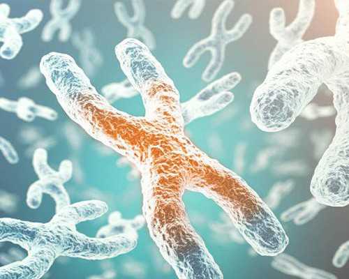 香港孕妇验血男女准_香港验血为什么要怀孕七周才能检测出Y染色体？