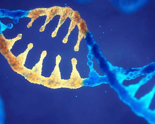 香港医院验血哪家_香港验血女宝_验血查男女哪个诊所准!