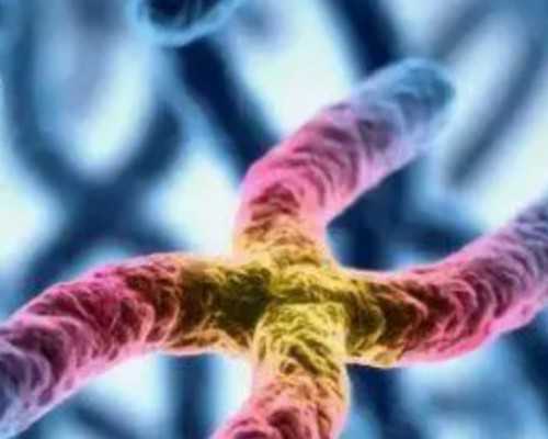 寄血到香港验血有错的吗_香港验血抽起哪个位置_（给想去的姐妹一个参考）