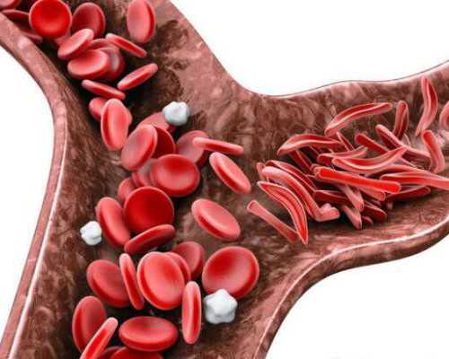 乙肝去香港验血准吗_香港验血查男女的机构靠谱吗？需要多少钱？