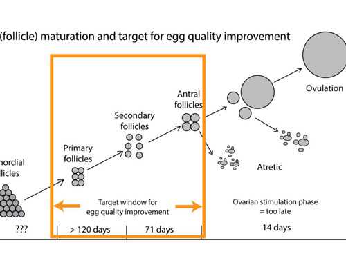 香港邮寄验血刚好赶上国庆_香港检测胎儿性别要注意什么条件?宝妈亲身经历告