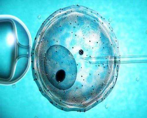 香港哪里验血便宜_孕妇香港验血多少钱_验血没y生了男孩