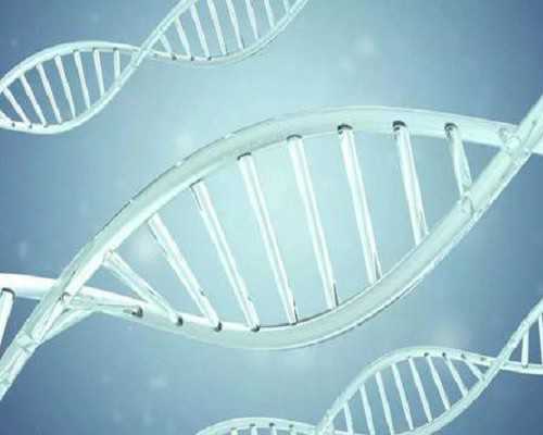 香港验血到底有多准_香港验血专业机构准不准,dna胎儿性别邮寄准不准