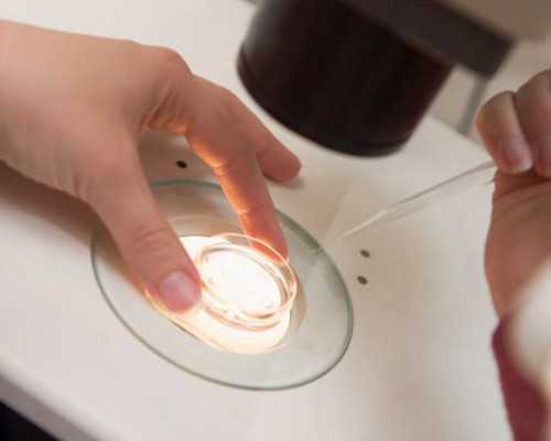 香港验血多少天才可以_香港验血真的能查出男女？告诉你以后还敢去香港验血