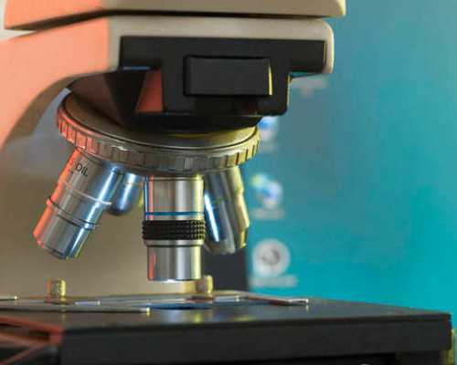 香港明爱诊所可以验血吗_关于香港验血查男女准不准,看看生过的宝妈怎么说的