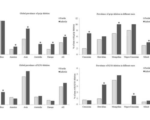 佛山古玩市场一条街_高士明：所谓“当代”