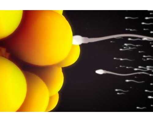 北京古玩鉴定专家有谁?什么地址_秦始皇嫔妃皇子面部复原图公开