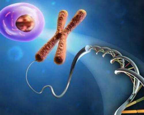 古玩捡漏赌石鉴宝小说女_，减脂玉米面菜团子