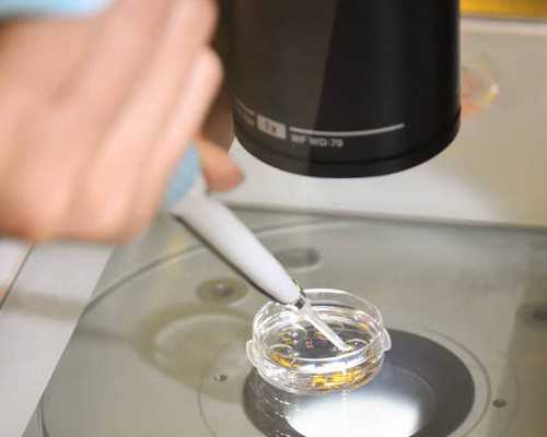 去香港验血准_武汉香港胎儿性别鉴定机构,验血最权威的机构是哪家