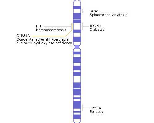 香港验血孕多少周_香港邓悦翘验血准吗_验血查男女需要什么流程!