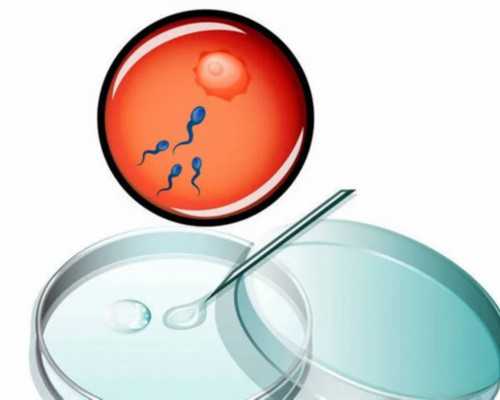 香港验血深证中介_怀孕五个月想去香港查性别？过来人来告诉你真相