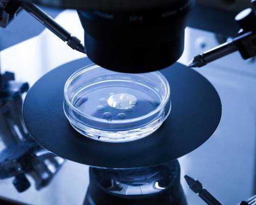 怀孕多久时间香港化验血最佳时间_不作死就不会死出自哪里不作死就不会死这