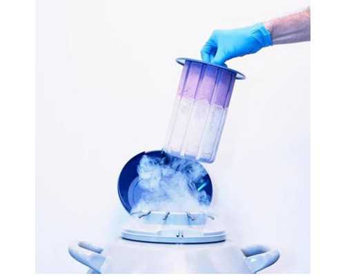 香港验血胎儿性别报告单_香港验血坚定性别准吗_哪家诊所准确率最高!