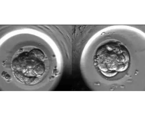 2020年河南古玩收藏品批发_珠宝玉石界添新丁  南红不再是玛瑙了！