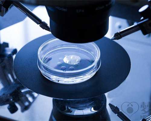 香港验血7周7mm肧芽_十二周香港验血没有Y_验血有翻盘的可能吗!