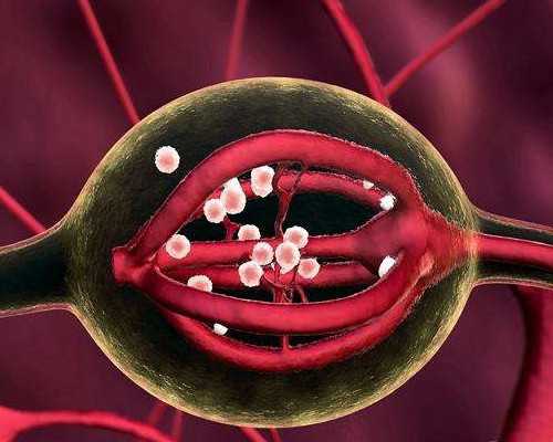 寄血去香港时代基因验血出错_香港验血李兆安靠谱吗_验血查男女最详细攻略