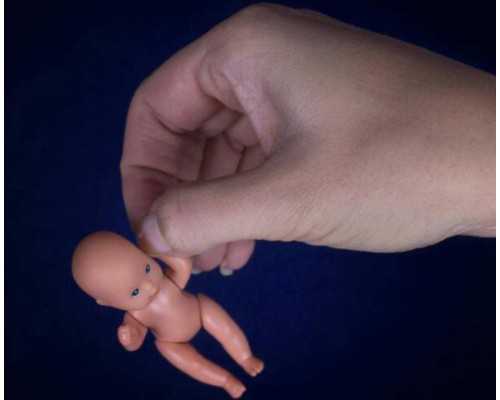 香港验血查男女准么_如何快递预约香港验血_验血是女孩,能翻盘么!