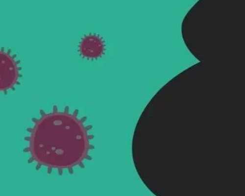 古玩电视连续剧有哪些_中国工艺美术学会召开理事会