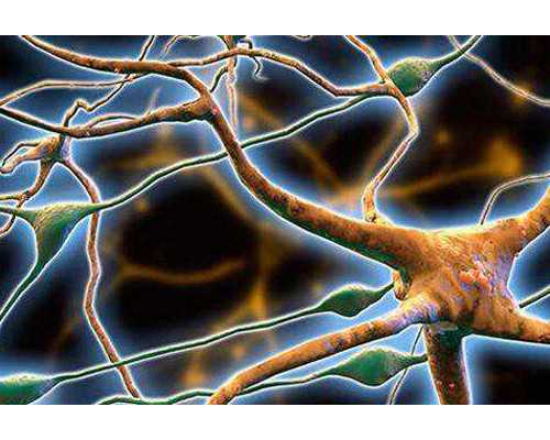 香港验血胎胎芽7mm准吗_去香港验血查性别条件_香港验血是不是真的_要多少钱