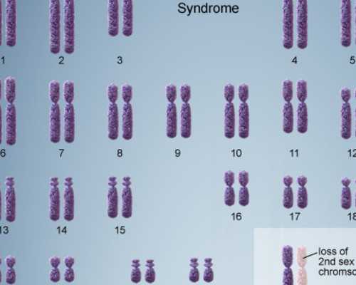 上海古玩交易市场拍卖会_艺术品收藏界：物理检测市场火热
