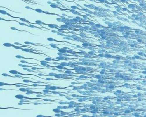 香港hklab验血多少钱_香港血液检测胎儿男女需要什么条件？想知道的凑过来看