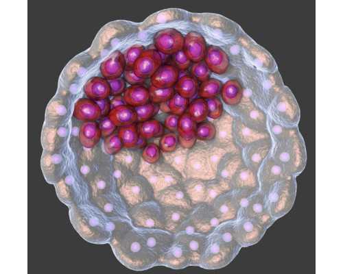 香港哪个化验所验血准确率高_去香港验血查男女测性别结果会翻盘吗?我的经历